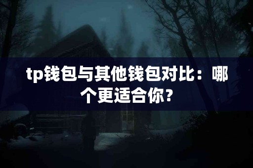 tp钱包与其他钱包对比：哪个更适合你？