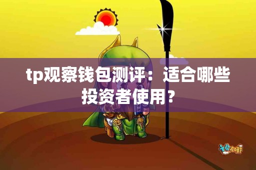 tp观察钱包测评：适合哪些投资者使用？