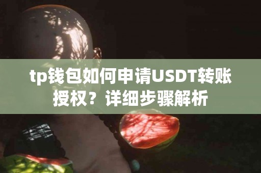 tp钱包如何申请USDT转账授权？详细步骤解析