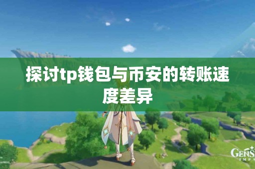 探讨tp钱包与币安的转账速度差异