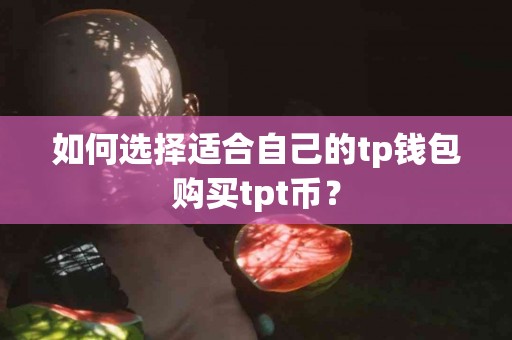 如何选择适合自己的tp钱包购买tpt币？