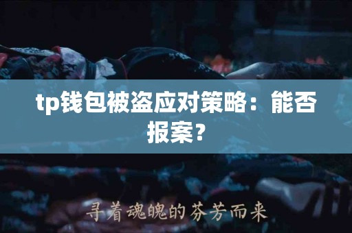 tp钱包被盗应对策略：能否报案？