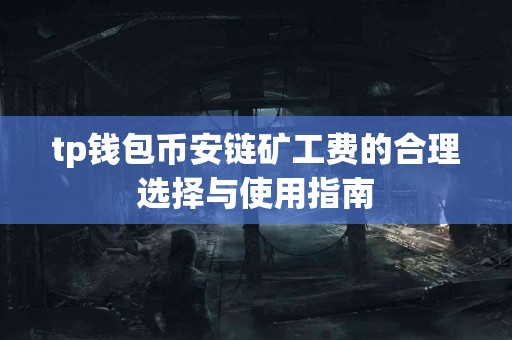 tp钱包币安链矿工费的合理选择与使用指南