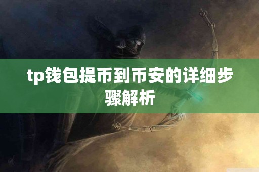 tp钱包提币到币安的详细步骤解析