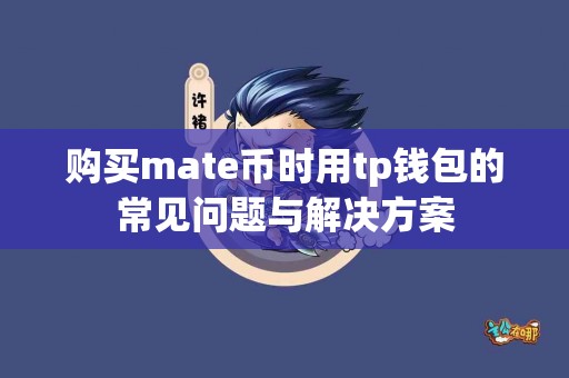 购买mate币时用tp钱包的常见问题与解决方案