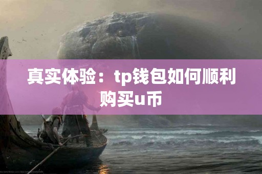 真实体验：tp钱包如何顺利购买u币