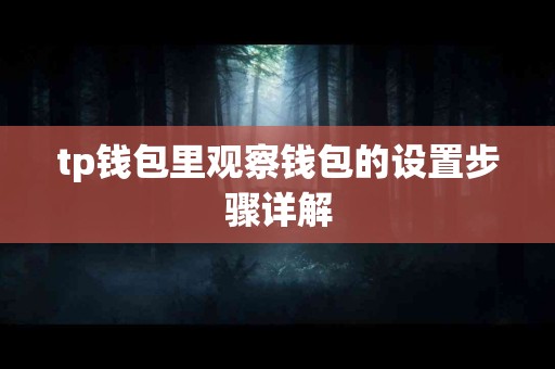 tp钱包里观察钱包的设置步骤详解