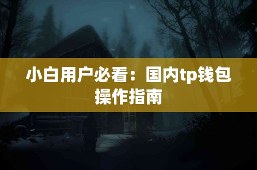 小白用户必看：国内tp钱包操作指南