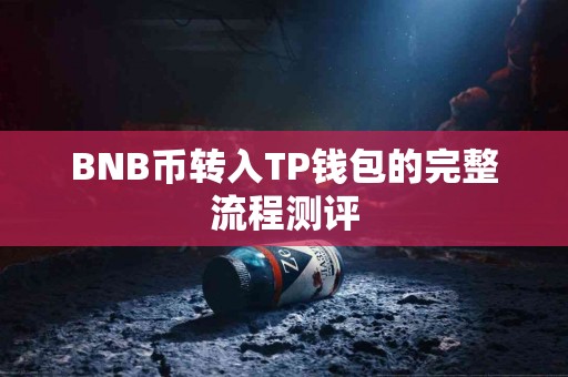 BNB币转入TP钱包的完整流程测评