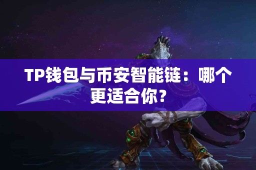 TP钱包与币安智能链：哪个更适合你？