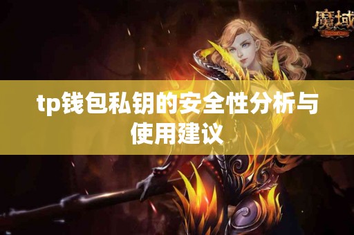 tp钱包私钥的安全性分析与使用建议