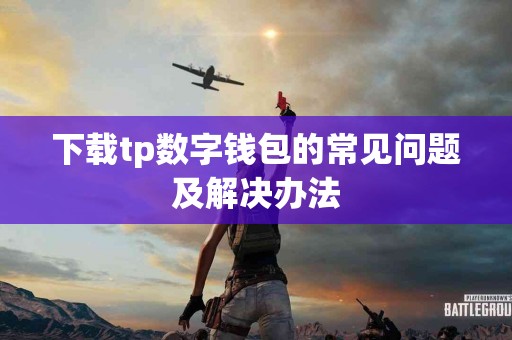 下载tp数字钱包的常见问题及解决办法