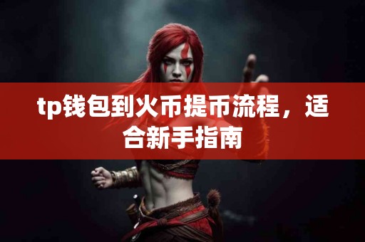 tp钱包到火币提币流程，适合新手指南