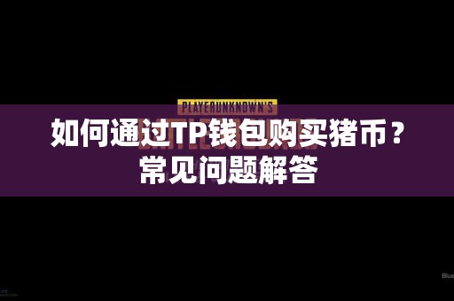如何通过TP钱包购买猪币？常见问题解答
