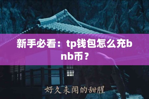 新手必看：tp钱包怎么充bnb币？