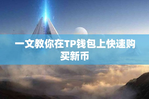 一文教你在TP钱包上快速购买新币