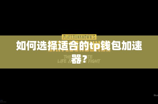 如何选择适合的tp钱包加速器？