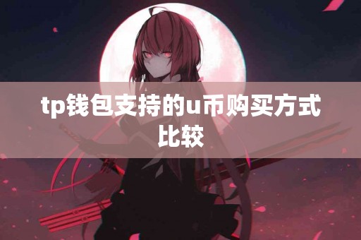 tp钱包支持的u币购买方式比较