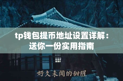 tp钱包提币地址设置详解：送你一份实用指南