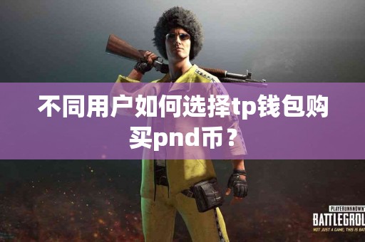 不同用户如何选择tp钱包购买pnd币？