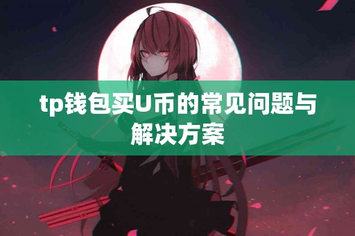 tp钱包买U币的常见问题与解决方案