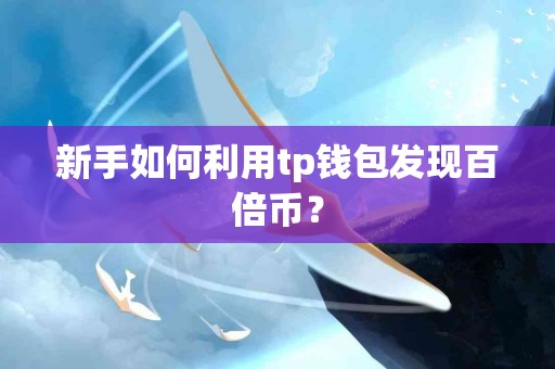新手如何利用tp钱包发现百倍币？