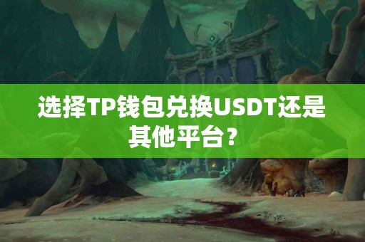 选择TP钱包兑换USDT还是其他平台？