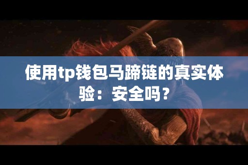 使用tp钱包马蹄链的真实体验：安全吗？
