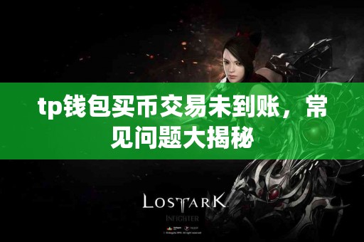 tp钱包买币交易未到账，常见问题大揭秘