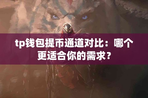 tp钱包提币通道对比：哪个更适合你的需求？