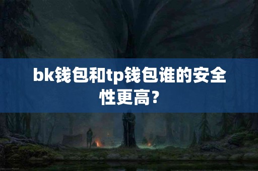 bk钱包和tp钱包谁的安全性更高？