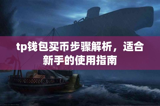 tp钱包买币步骤解析，适合新手的使用指南