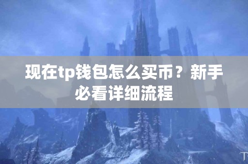 现在tp钱包怎么买币？新手必看详细流程