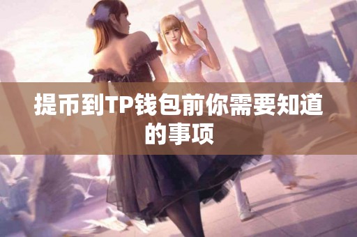 提币到TP钱包前你需要知道的事项