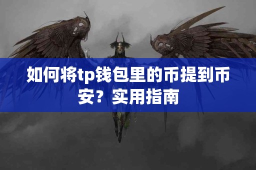 如何将tp钱包里的币提到币安？实用指南