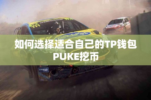 如何选择适合自己的TP钱包PUKE挖币