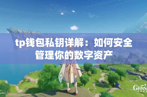 tp钱包私钥详解：如何安全管理你的数字资产