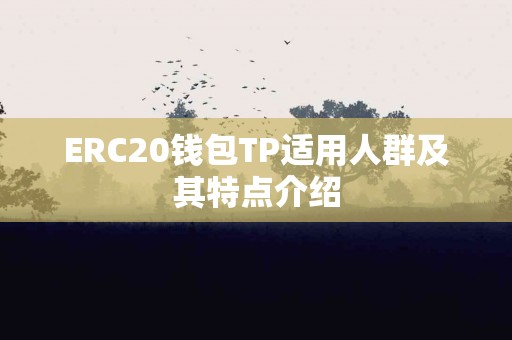 ERC20钱包TP适用人群及其特点介绍