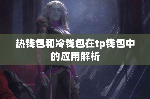 热钱包和冷钱包在tp钱包中的应用解析