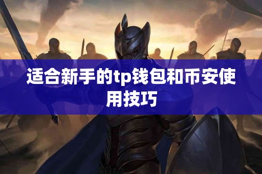 适合新手的tp钱包和币安使用技巧