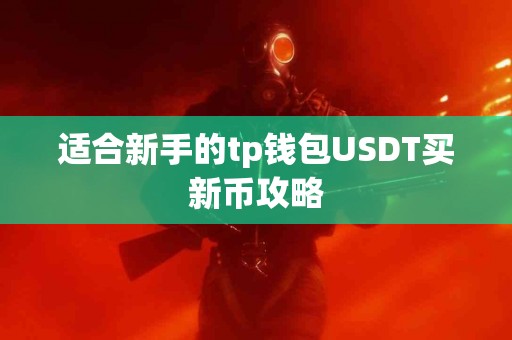 适合新手的tp钱包USDT买新币攻略