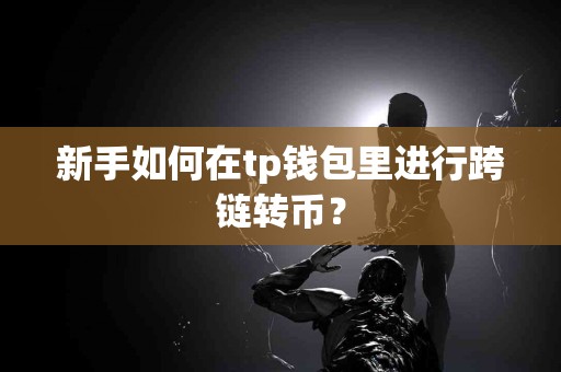 新手如何在tp钱包里进行跨链转币？
