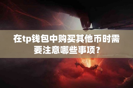 在tp钱包中购买其他币时需要注意哪些事项？