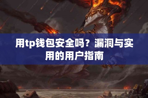 用tp钱包安全吗？漏洞与实用的用户指南