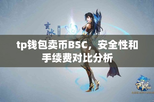 tp钱包卖币BSC，安全性和手续费对比分析
