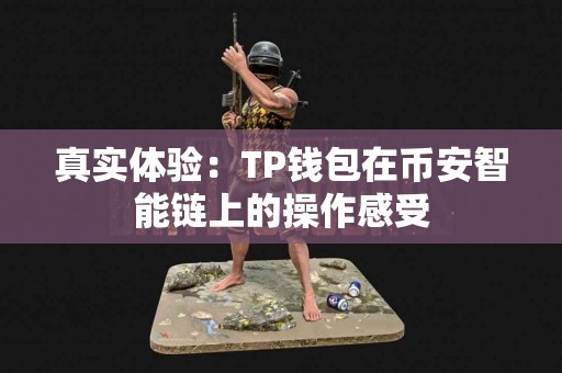 真实体验：TP钱包在币安智能链上的操作感受
