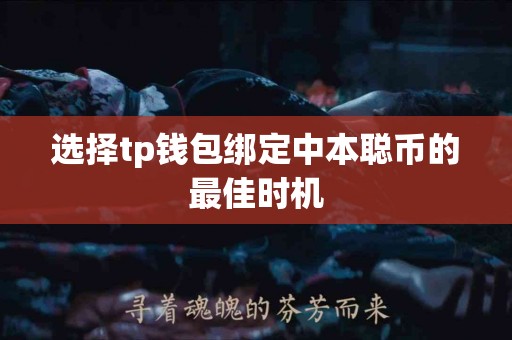 选择tp钱包绑定中本聪币的最佳时机