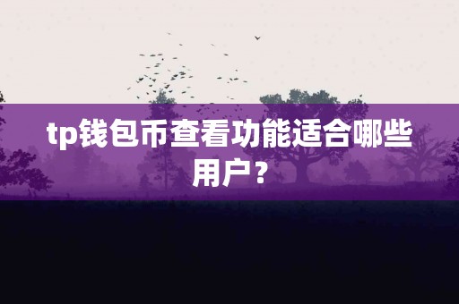 tp钱包币查看功能适合哪些用户？